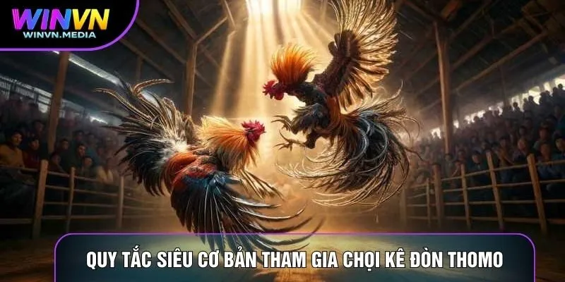 Quy tắc siêu cơ bản tham gia chọi kê đòn Thomo